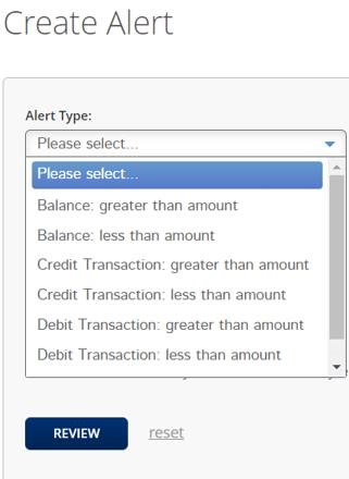 Image for Custom text alerts